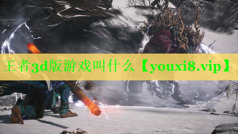 <strong>王者3d版游戏叫什么</strong>